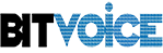 Bitvoice Solutions Private Limited